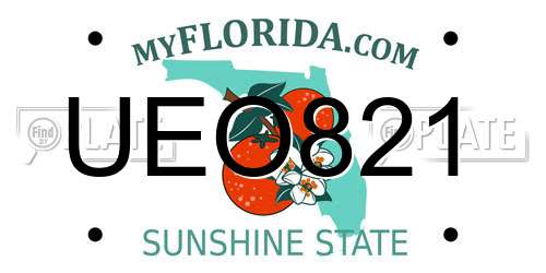 UEO821 Florida License Plate