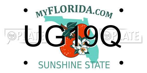 UG19Q Florida License Plate