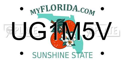 UG1M5V Florida License Plate