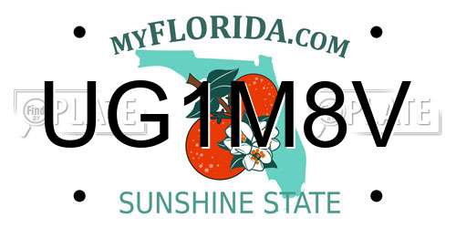 UG1M8V Florida License Plate
