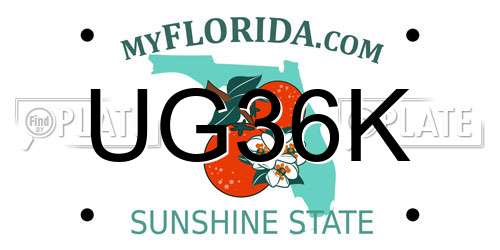 UG36K Florida License Plate