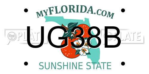 UG38B Florida License Plate