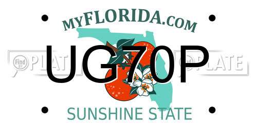 UG70P Florida License Plate
