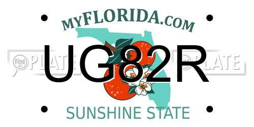 UG82R Florida License Plate