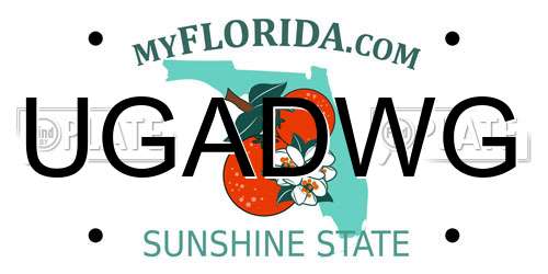 UGADWG Florida License Plate