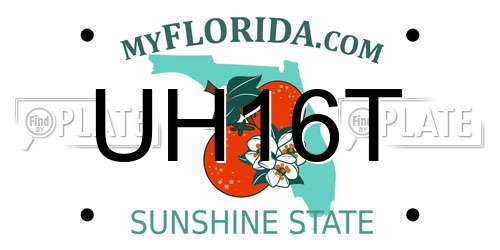 UH16T Florida License Plate