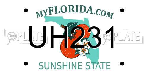 UH231 Florida License Plate