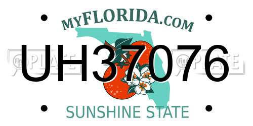 UH37076 Florida License Plate