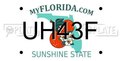 UH43F Florida License Plate