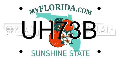 UH73B Florida License Plate