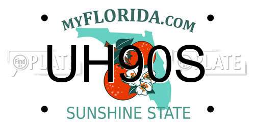 UH90S Florida License Plate