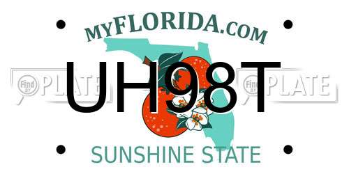 UH98T Florida License Plate