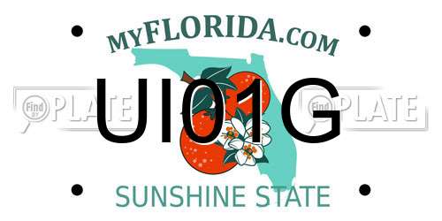 UI01G Florida License Plate