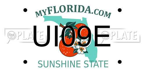 UI09E Florida License Plate