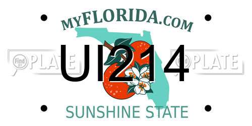 UI214 Florida License Plate
