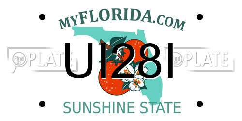UI28I Florida License Plate