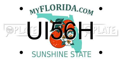UI56H Florida License Plate