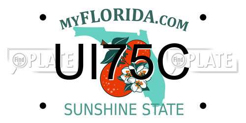 UI75C Florida License Plate