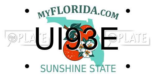 UI93E Florida License Plate