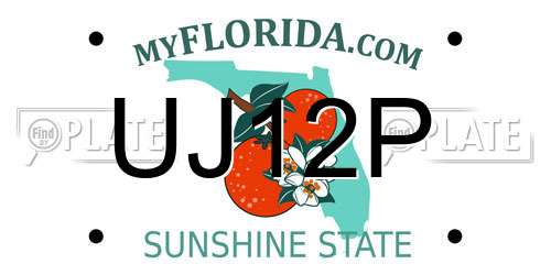 UJ12P Florida License Plate