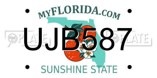 UJB587 Florida License Plate