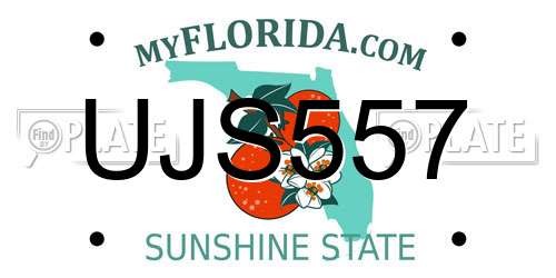 UJS557 Florida License Plate