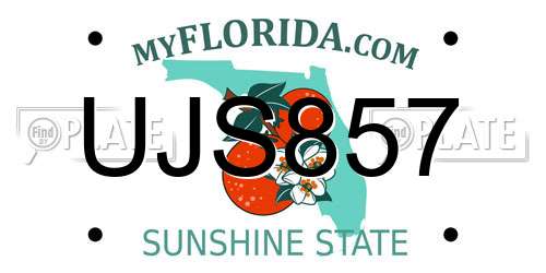 UJS857 Florida License Plate