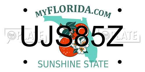 UJS85Z Florida License Plate