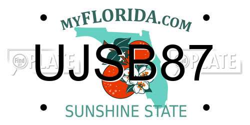 UJSB87 Florida License Plate