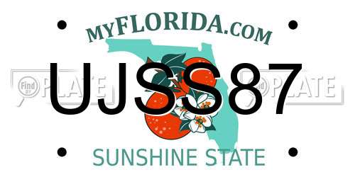 UJSS87 Florida License Plate