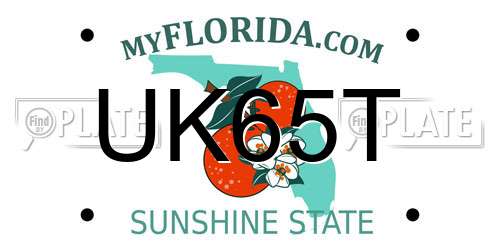 UK65T Florida License Plate