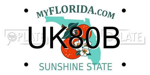 UK80B Florida License Plate