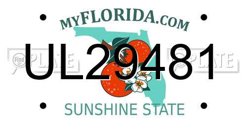 UL29481 Florida License Plate