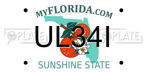 UL34I Florida License Plate