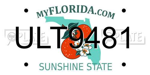 ULT9481 Florida License Plate