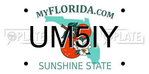 UM5IY Florida License Plate