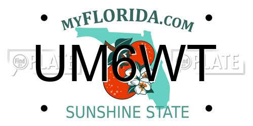 UM6WT Florida License Plate