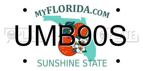 UMB90S Florida License Plate