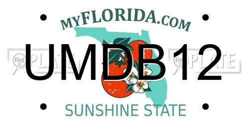 UMDB12 Florida License Plate