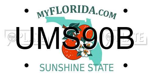 UMS90B Florida License Plate