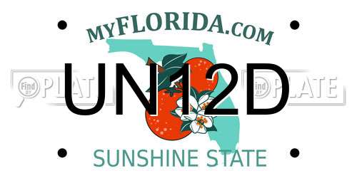 UN12D Florida License Plate