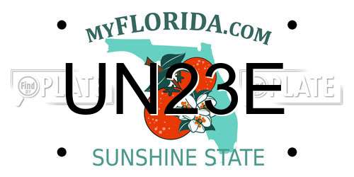 UN23E Florida License Plate