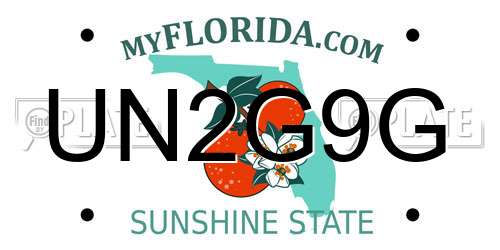 UN2G9G Florida License Plate