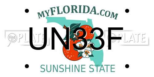 UN33F Florida License Plate