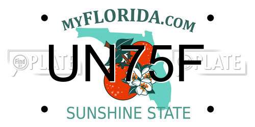 UN75F Florida License Plate