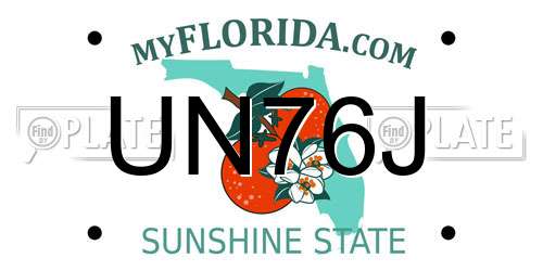 UN76J Florida License Plate