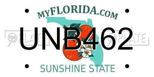 UNB462 Florida License Plate