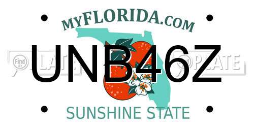 UNB46Z Florida License Plate