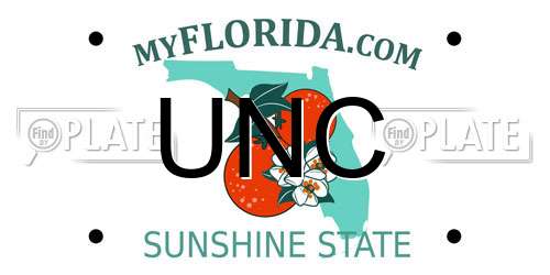 UNC Florida License Plate