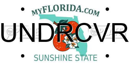 UNDRCVR Florida License Plate